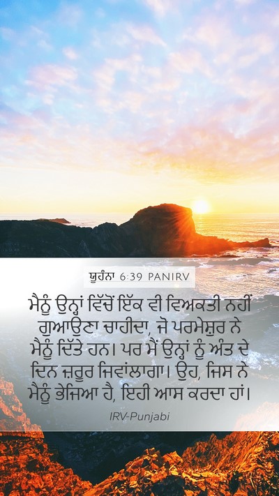 ਯੂਹੰਨਾ 6:39 PANIRV Bible Verse Image