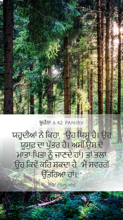 ਯੂਹੰਨਾ 6:42 PANIRV Bible Verse Image