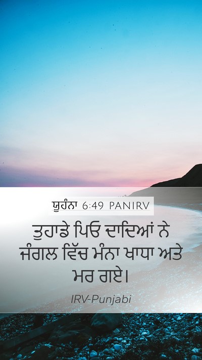 ਯੂਹੰਨਾ 6:49 PANIRV Bible Verse Image