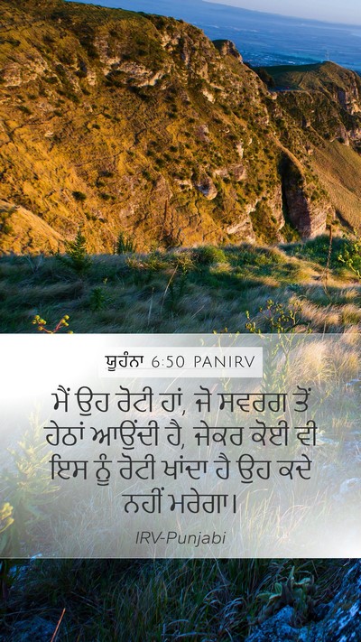 ਯੂਹੰਨਾ 6:50 PANIRV Bible Verse Image