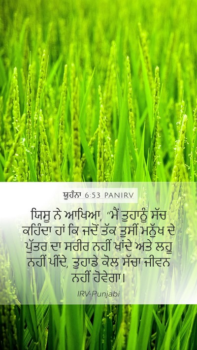 ਯੂਹੰਨਾ 6:53 PANIRV Bible Verse Image