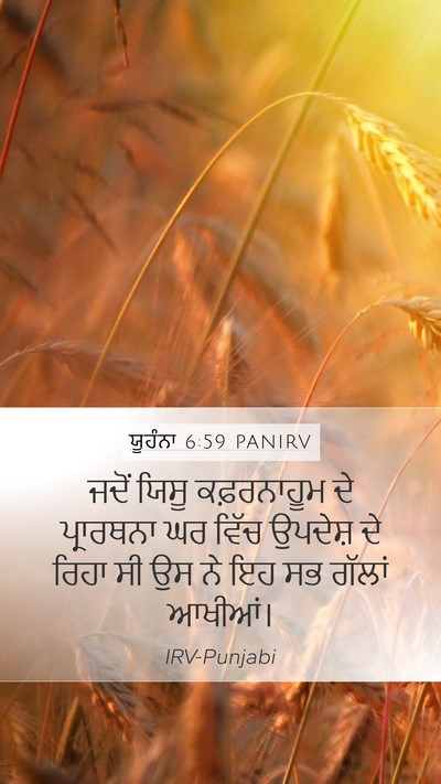 ਯੂਹੰਨਾ 6:59 PANIRV Bible Verse Image