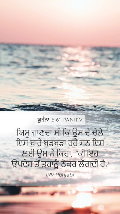 ਯੂਹੰਨਾ 6:61 PANIRV Bible Verse Image