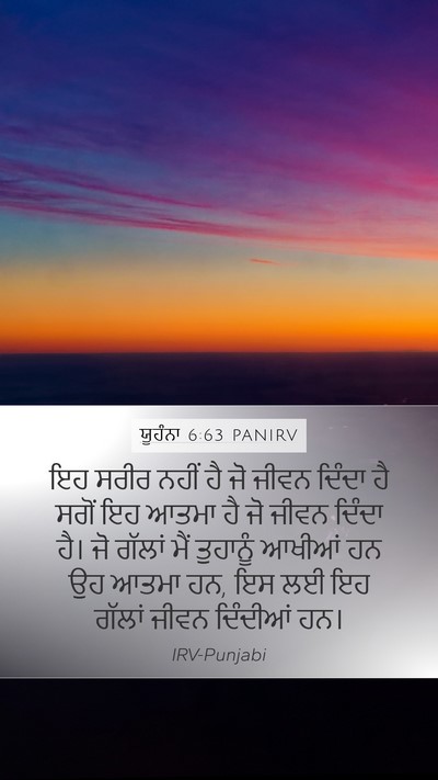 ਯੂਹੰਨਾ 6:63 PANIRV Bible Verse Image