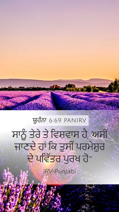ਯੂਹੰਨਾ 6:69 PANIRV Bible Verse Image
