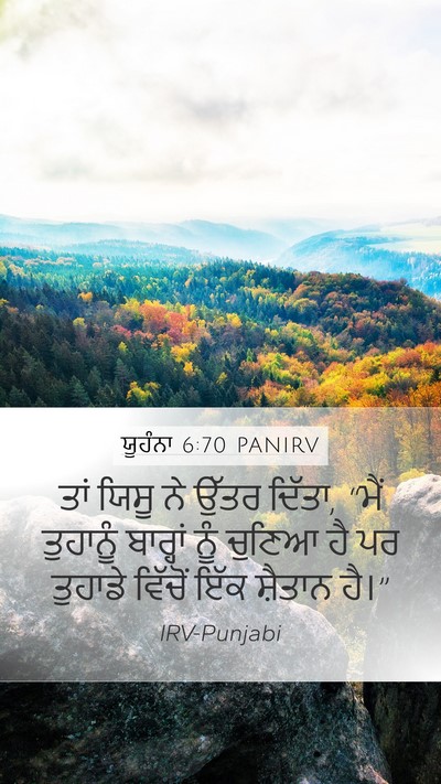 ਯੂਹੰਨਾ 6:70 PANIRV Bible Verse Image