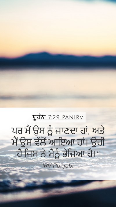 ਯੂਹੰਨਾ 7:29 PANIRV Bible Verse Image