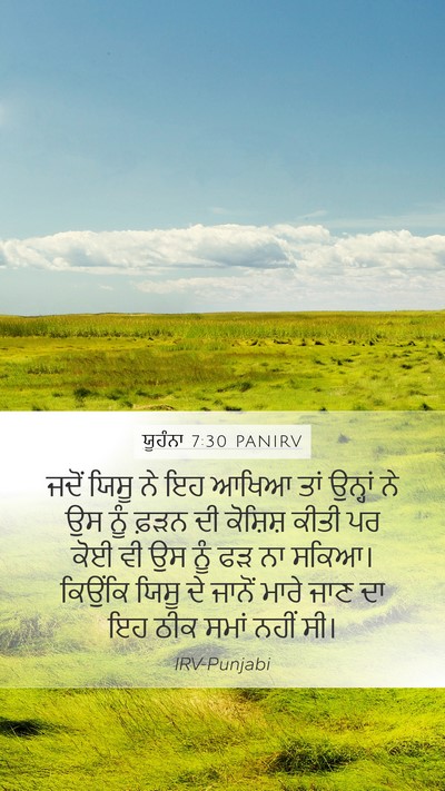 ਯੂਹੰਨਾ 7:30 PANIRV Bible Verse Image