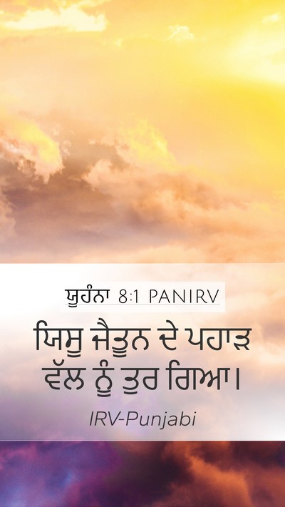 ਯੂਹੰਨਾ 8:1 PANIRV Bible Verse Image