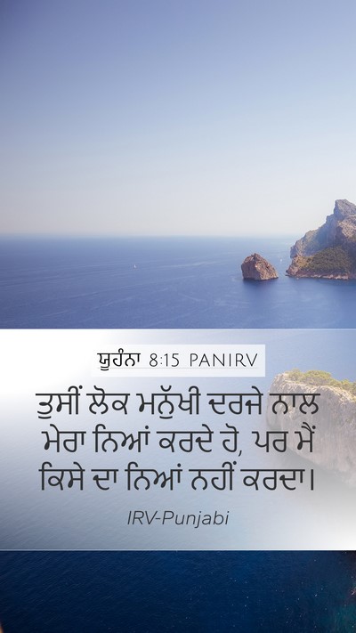 ਯੂਹੰਨਾ 8:15 PANIRV Bible Verse Image