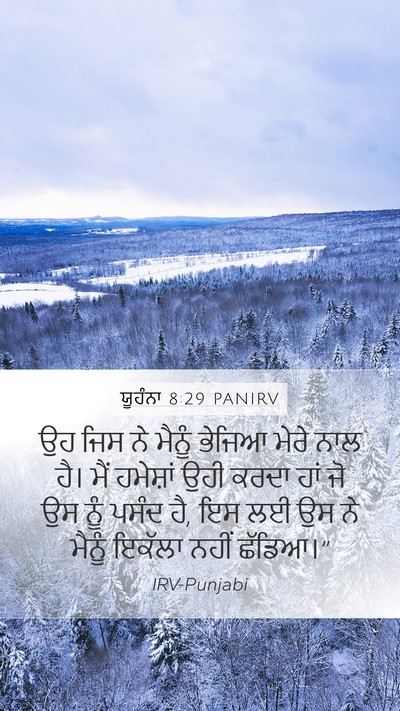 ਯੂਹੰਨਾ 8:29 PANIRV Bible Verse Image