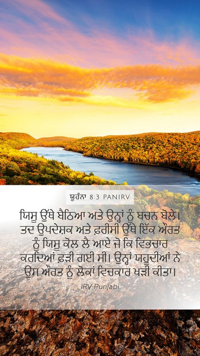 ਯੂਹੰਨਾ 8:3 PANIRV Bible Verse Image