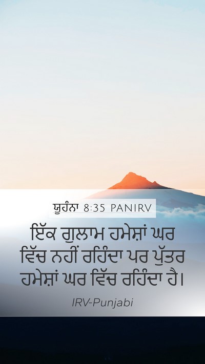 ਯੂਹੰਨਾ 8:35 PANIRV Bible Verse Image