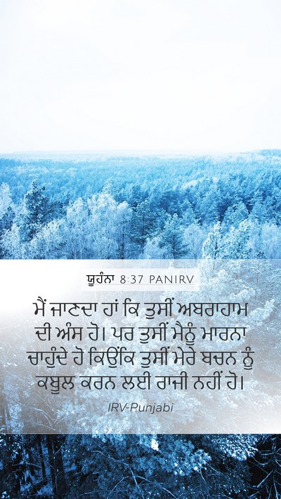 ਯੂਹੰਨਾ 8:37 PANIRV Bible Verse Image