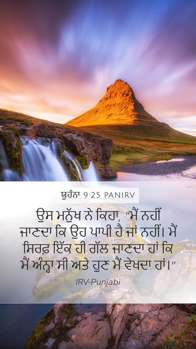 ਯੂਹੰਨਾ 9:25 PANIRV Bible Verse Image