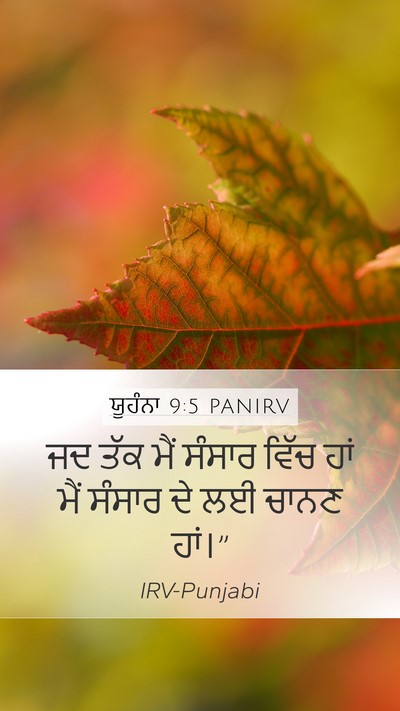 ਯੂਹੰਨਾ 9:5 PANIRV Bible Verse Image