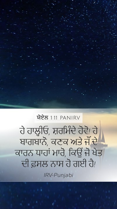 ਯੋਏਲ 1:11 PANIRV Bible Verse Image