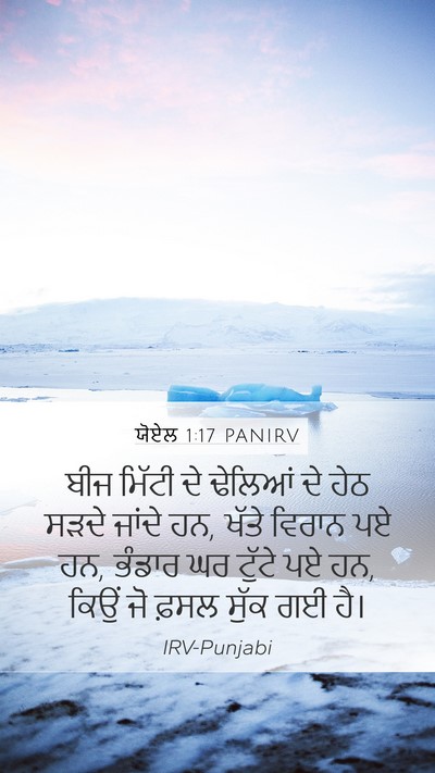 ਯੋਏਲ 1:17 PANIRV Bible Verse Image