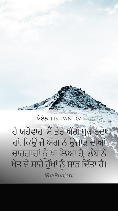 ਯੋਏਲ 1:19 PANIRV Bible Verse Image