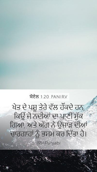 ਯੋਏਲ 1:20 PANIRV Bible Verse Image
