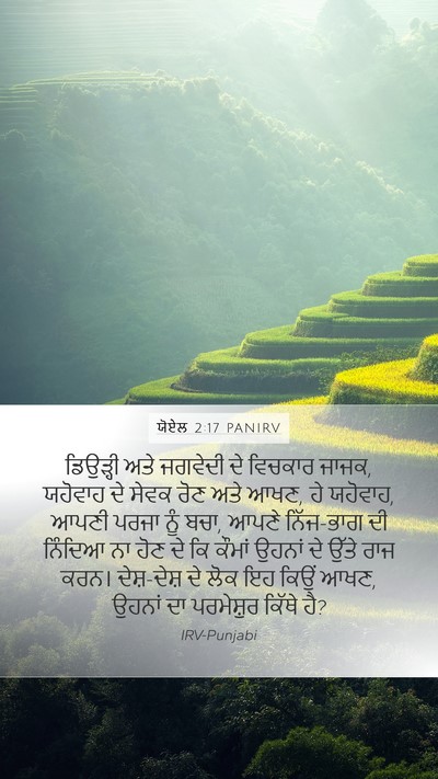 ਯੋਏਲ 2:17 PANIRV Bible Verse Image