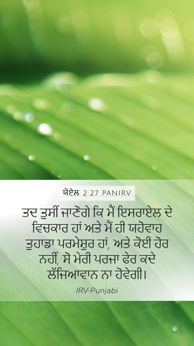 ਯੋਏਲ 2:27 PANIRV Bible Verse Image