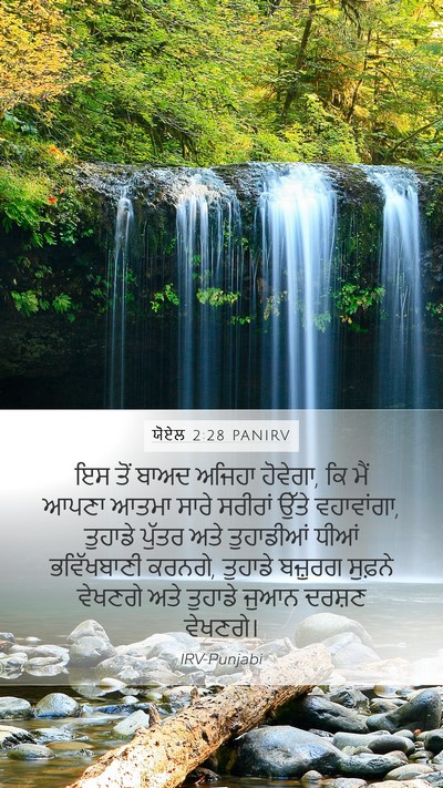 ਯੋਏਲ 2:28 PANIRV Bible Verse Image
