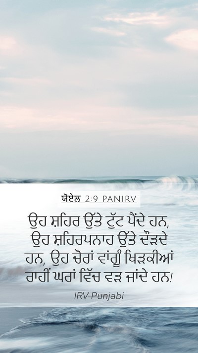 ਯੋਏਲ 2:9 PANIRV Bible Verse Image