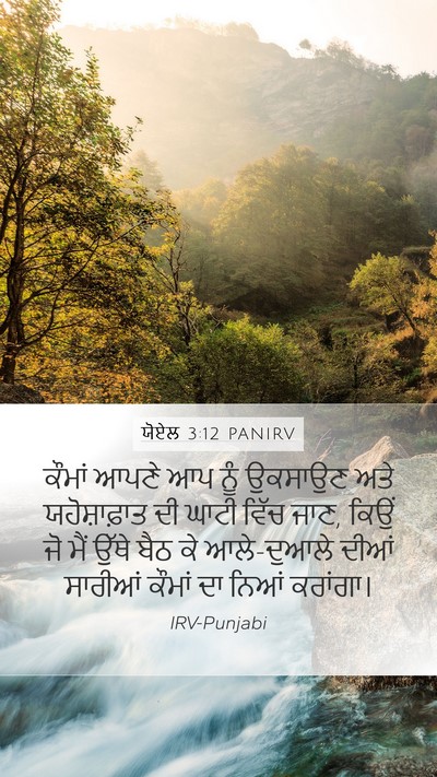 ਯੋਏਲ 3:12 PANIRV Bible Verse Image
