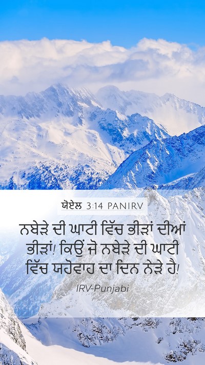 ਯੋਏਲ 3:14 PANIRV Bible Verse Image