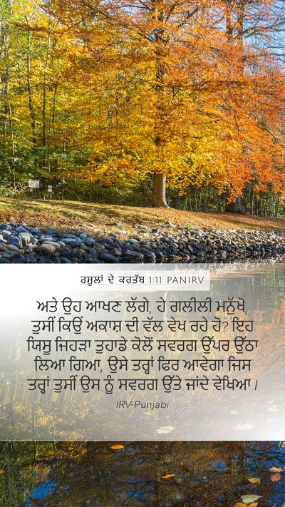 ਰਸੂਲਾਂ ਦੇ ਕਰਤੱਬ 1:11 PANIRV Bible Verse Image