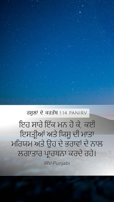 ਰਸੂਲਾਂ ਦੇ ਕਰਤੱਬ 1:14 PANIRV Bible Verse Image