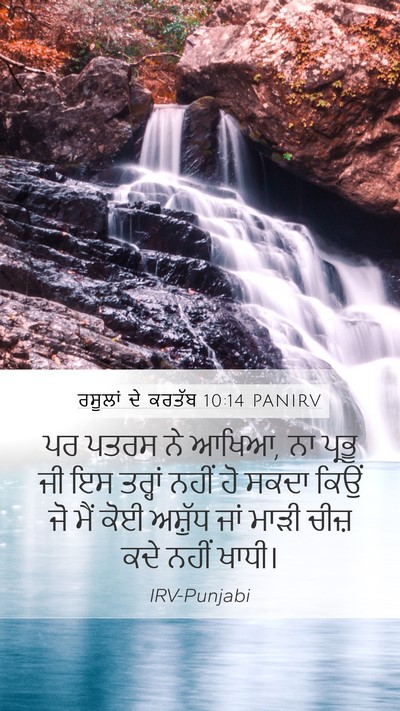 ਰਸੂਲਾਂ ਦੇ ਕਰਤੱਬ 10:14 PANIRV Bible Verse Image