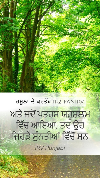 ਰਸੂਲਾਂ ਦੇ ਕਰਤੱਬ 11:2 PANIRV Bible Verse Image