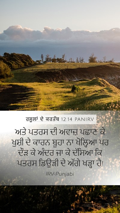 ਰਸੂਲਾਂ ਦੇ ਕਰਤੱਬ 12:14 PANIRV Mobile Phone Wallpaper - ਅਤੇ ਪਤਰਸ ਦੀ ਅਵਾਜ਼ - Mobile Bible Verse Wallpaper
