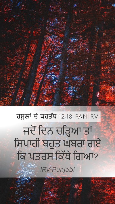 ਰਸੂਲਾਂ ਦੇ ਕਰਤੱਬ 12:18 PANIRV Bible Verse Image