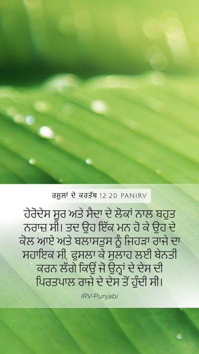 ਰਸੂਲਾਂ ਦੇ ਕਰਤੱਬ 12:20 PANIRV Bible Verse Image