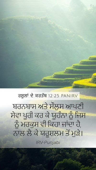 ਰਸੂਲਾਂ ਦੇ ਕਰਤੱਬ 12:25 PANIRV Bible Verse Image