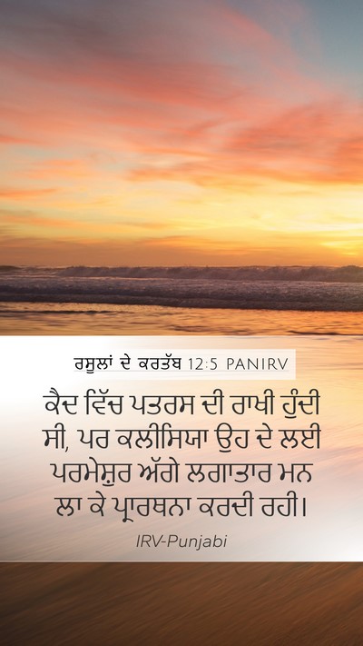 ਰਸੂਲਾਂ ਦੇ ਕਰਤੱਬ 12:5 PANIRV Bible Verse Image