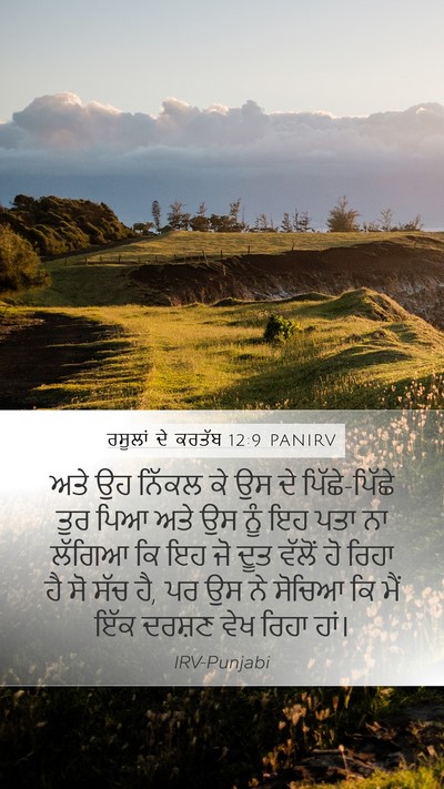 ਰਸੂਲਾਂ ਦੇ ਕਰਤੱਬ 12:9 PANIRV Bible Verse Image