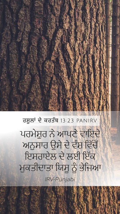 ਰਸੂਲਾਂ ਦੇ ਕਰਤੱਬ 13:23 PANIRV Bible Verse Image