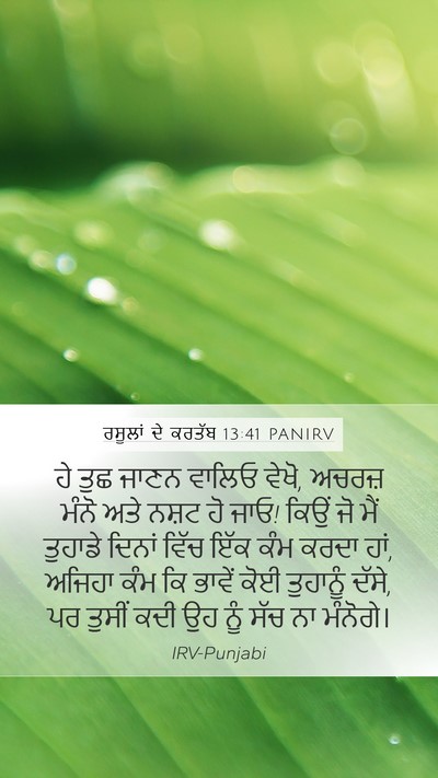ਰਸੂਲਾਂ ਦੇ ਕਰਤੱਬ 13:41 PANIRV Bible Verse Image