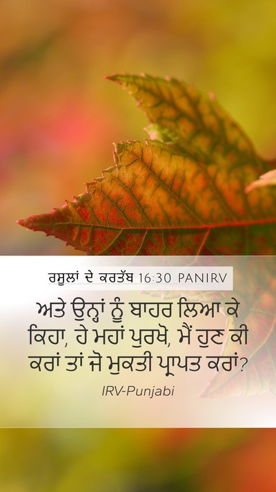 ਰਸੂਲਾਂ ਦੇ ਕਰਤੱਬ 16:30 PANIRV Bible Verse Image
