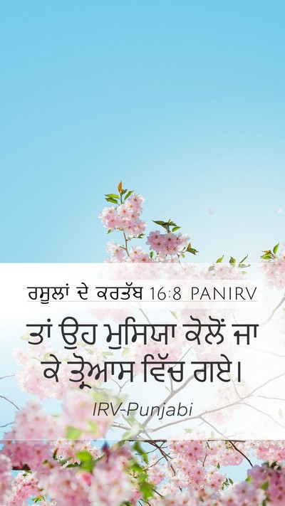 ਰਸੂਲਾਂ ਦੇ ਕਰਤੱਬ 16:8 PANIRV Bible Verse Image