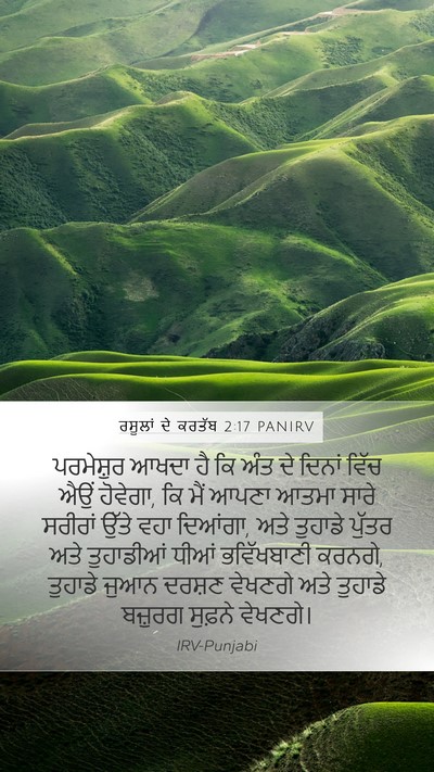 ਰਸੂਲਾਂ ਦੇ ਕਰਤੱਬ 2:17 PANIRV Bible Verse Image