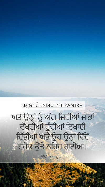 ਰਸੂਲਾਂ ਦੇ ਕਰਤੱਬ 2:3 PANIRV Bible Verse Image