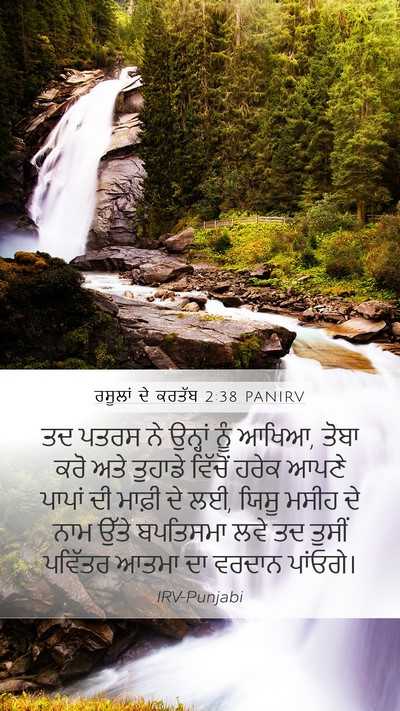 ਰਸੂਲਾਂ ਦੇ ਕਰਤੱਬ 2:38 PANIRV Bible Verse Image