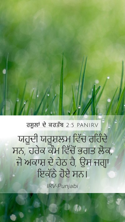 ਰਸੂਲਾਂ ਦੇ ਕਰਤੱਬ 2:5 PANIRV Bible Verse Image