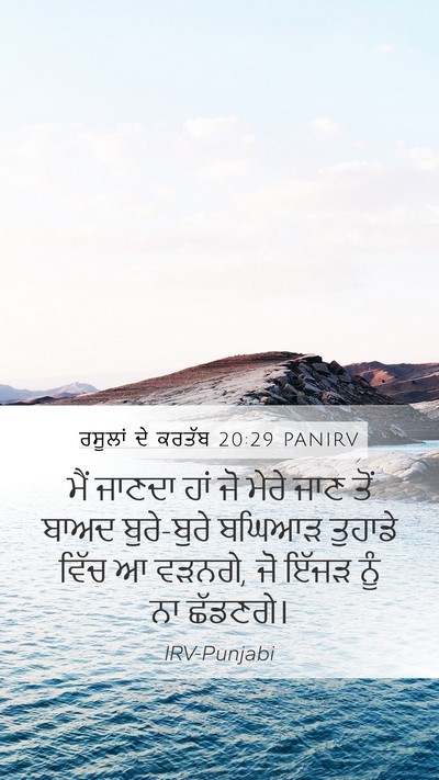 ਰਸੂਲਾਂ ਦੇ ਕਰਤੱਬ 20:29 PANIRV Bible Verse Image