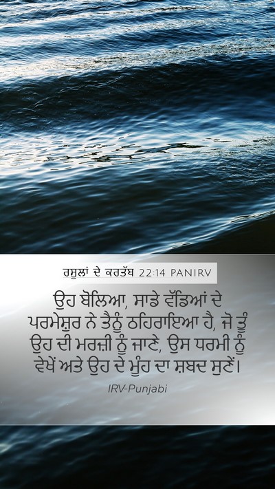 ਰਸੂਲਾਂ ਦੇ ਕਰਤੱਬ 22:14 PANIRV Bible Verse Image